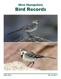 NH Bird Records