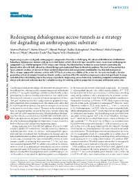 Redesigning Dehalogenase Access Tunnels As a Strategy for Degrading