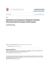 Mechanisms and Consequences of Epigenetic Inheritance Following Parental Preconception Alcohol Exposure