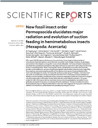 New Fossil Insect Order Permopsocida Elucidates Major Radiation And