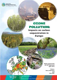 OZONE POLLUTION:POLLUTION: Impacts on Carbon Sequestration in Europe