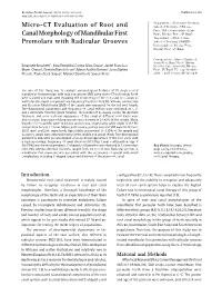 Micro-CT Evaluation of Root and Canal Morphology of Mandibular First Premolars with Radicular Grooves