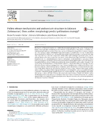 Pollen Release Mechanisms and Androecium Structure in Solanum