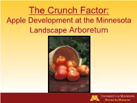 The Crunch Factor