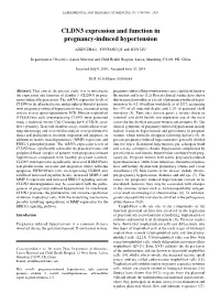 CLDN3 Expression and Function in Pregnancy‑Induced Hypertension