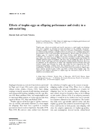 Effects of Trophic-Eggs on Offspring Performance and Rivalry in a Sub-Social Bug