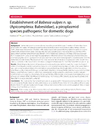 Establishment of Babesia Vulpes N. Sp. (Apicomplexa: Babesiidae)