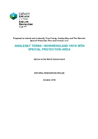 Proposal to Extend and Reclassify Ynys Feurig, Cemlyn Bay and The