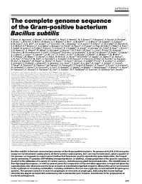 The Complete Genome Sequence of the Gram-Positive Bacterium Bacillus Subtilis