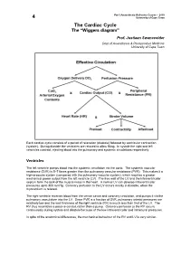 04. the Cardiac Cycle/Wiggers Diagram
