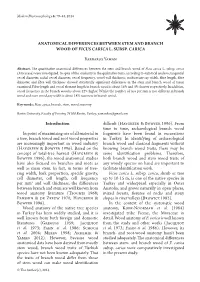 Anatomical Differences Between Stem and Branch Wood of Ficus Carica L