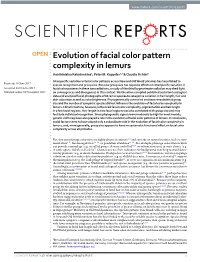 Evolution of Facial Color Pattern Complexity in Lemurs Hanitriniaina Rakotonirina1, Peter M