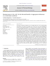 Keeping Warm in the Cold on the Thermal Benefits of Aggregation