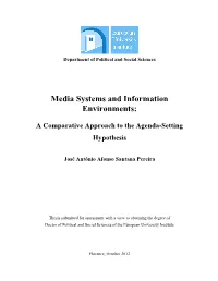 Media Systems and Information Environments