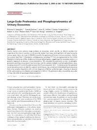 Large-Scale Proteomics and Phosphoproteomics of Urinary Exosomes