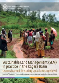 Sustainable Land Management (SLM) in Practice in the Kagera Basin