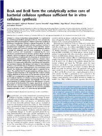 Bcsa and Bcsb Form the Catalytically Active Core of Bacterial Cellulose Synthase Sufﬁcient for in Vitro Cellulose Synthesis