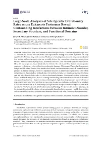 Large-Scale Analyses of Site-Specific Evolutionary Rates Across