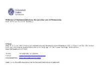 Pathways of Fundamentalization Doctrine