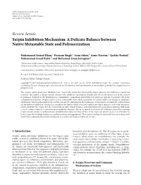 Serpin Inhibition Mechanism: a Delicate Balance Between Native Metastable State and Polymerization