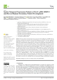 Spatio-Temporal Expression Pattern of Ki-67, Prb, MMP-9 and Bax in Human Secondary Palate Development