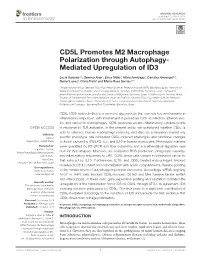 CD5L Promotes M2 Macrophage Polarization Through Autophagy-Mediated Upregulation Of