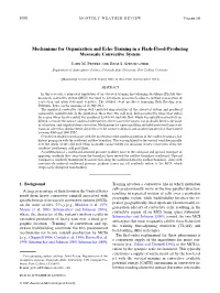 Mechanisms for Organization and Echo Training in a Flash-Flood-Producing Mesoscale Convective System