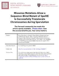 Missense Mutations Allow a Sequence-Blind Mutant of Spoiiie to Successfully Translocate Chromosomes During Sporulation