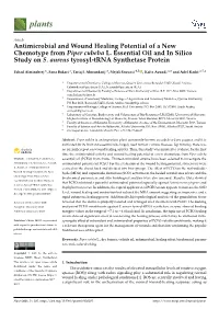 Antimicrobial and Wound Healing Potential of a New Chemotype from Piper Cubeba L
