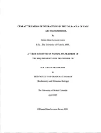 Characterization of Interactions in the Tap Family of Half