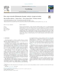 First Steps Towards Echinometra Lucunter Embryo Cryopreservation