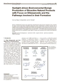 Sunlight-Driven Environmental Benign Production of Bioactive Natural Products with Focus on Diterpenoids and the Pathways Involved in Their Formation