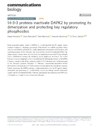 14-3-3 Proteins Inactivate DAPK2 by Promoting Its Dimerization And