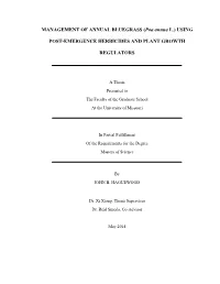 MANAGEMENT of ANNUAL BLUEGRASS (Poa Annua L.) USING