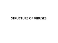 STRUCTURE of VIRUSES: Defective Viruses Defective Viruses Are Those Virus Particles Whose Genome Lacks a Specific Gene Or Genes Due to Either Mutation Or Deletion