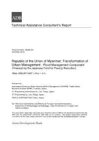 Technical Assistance Consultant's Report