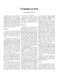 VERMICULITE by Michael J
