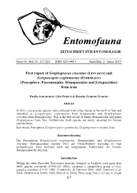 And Ectopsocopsis Cryptomeriae (ENDERLEIN)…
