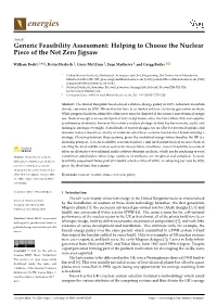 Helping to Choose the Nuclear Piece of the Net Zero Jigsaw