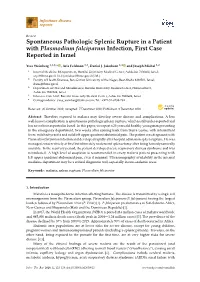 Spontaneous Pathologic Splenic Rupture in a Patient with Plasmodium Falciparum Infection, First Case Reported in Israel