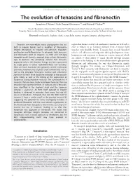 The Evolution of Tenascins and Fibronectin