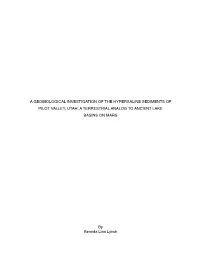A Terrestrial Analog to Ancient Lake Basins on Mars