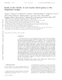 Snake in the Clouds: a New Nearby Dwarf Galaxy in the Magellanic Bridge ∗ Sergey E