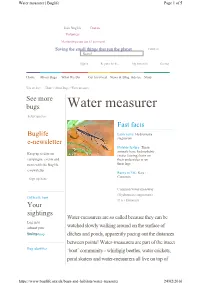 Water Measurer | Buglife Page 1 of 5