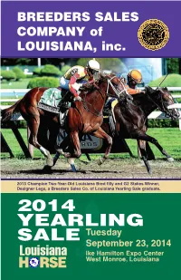 2014 Yearling