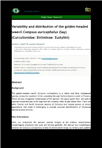 Variability and Distribution of the Golden-Headed Weevil Compsus Auricephalus (Say) (Curculionidae: Entiminae: Eustylini)