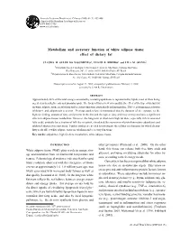 Metabolism and Secretory Function of White Adipose Tissue: Effect of Dietary Fat