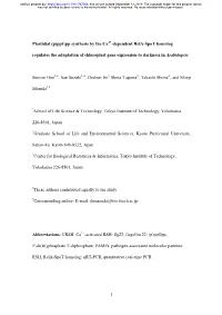 (P)Ppgpp Synthesis by the Ca2+-Dependent Rela-Spot Homolog