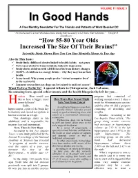 Some Type of Interview with Authors About a General Subject, Could