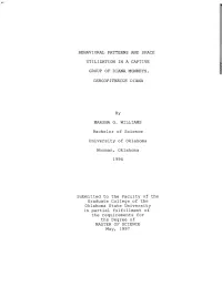 Behavioral Patterns and Space Utilization in A